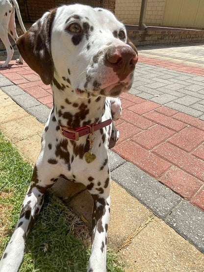 HEART