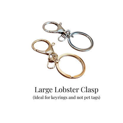 CLASPS