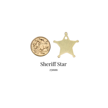 SHERIFF STAR