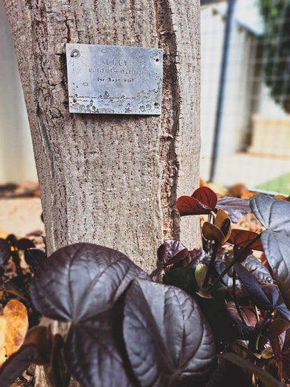 MEMORIAL PLAQUES