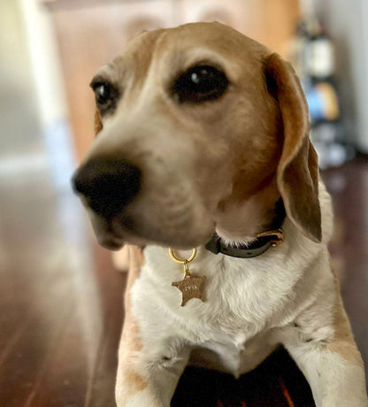 SHERIFF STAR