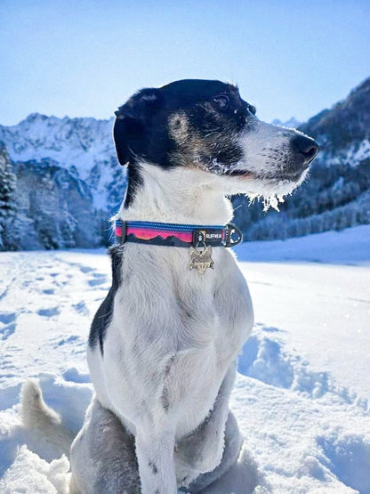 FOX HEAD